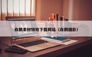 巴彦淖尔白鹅素材特效下载网站（白鹅摄影）